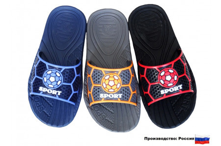 Сланцы