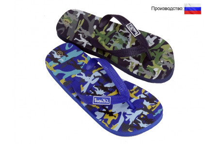 Сланцы