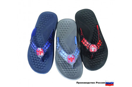 Сланцы
